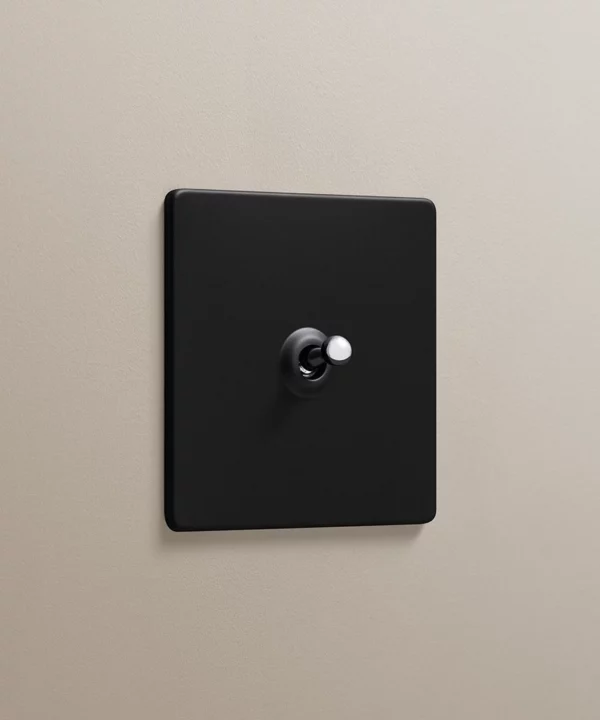 Black single toggle switch