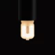 G9 LED bulb in a black bulb holder against a black background