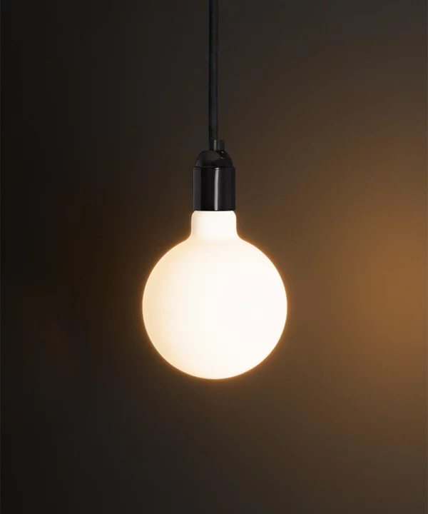 globe shaped light bulb