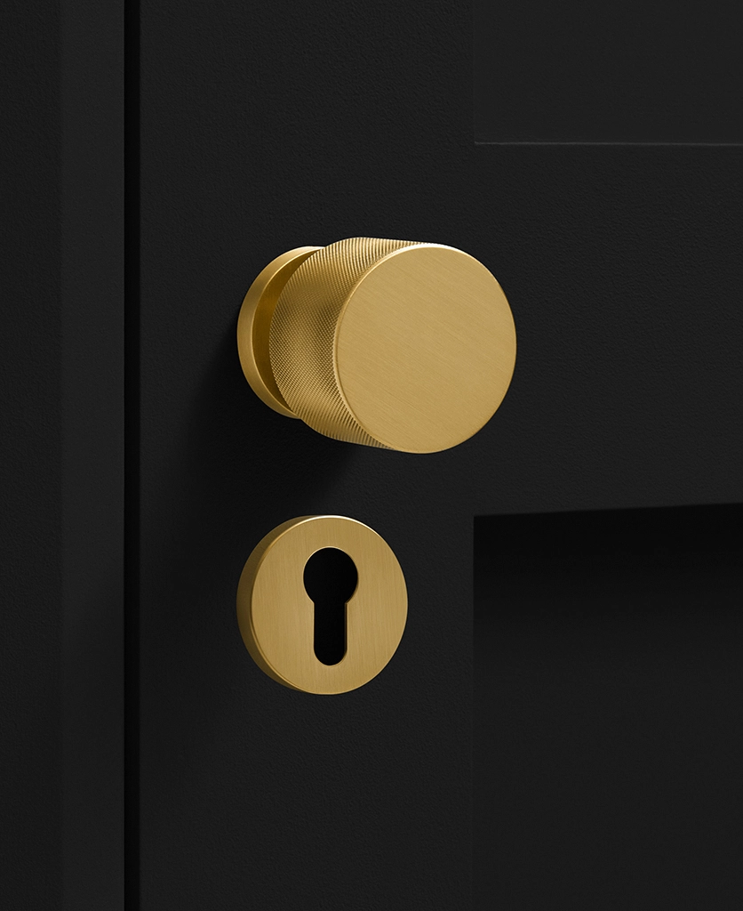 Gold door 2025 knobs