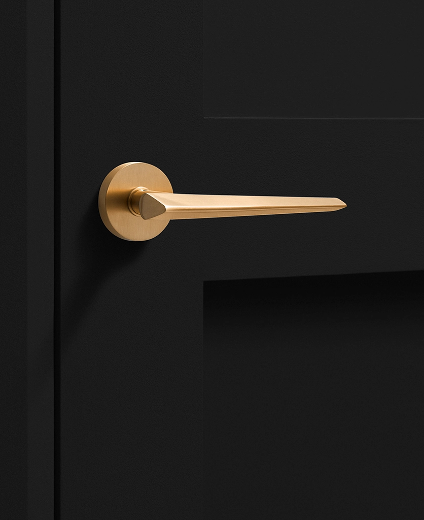 gold internal door handle on black door - sleek design