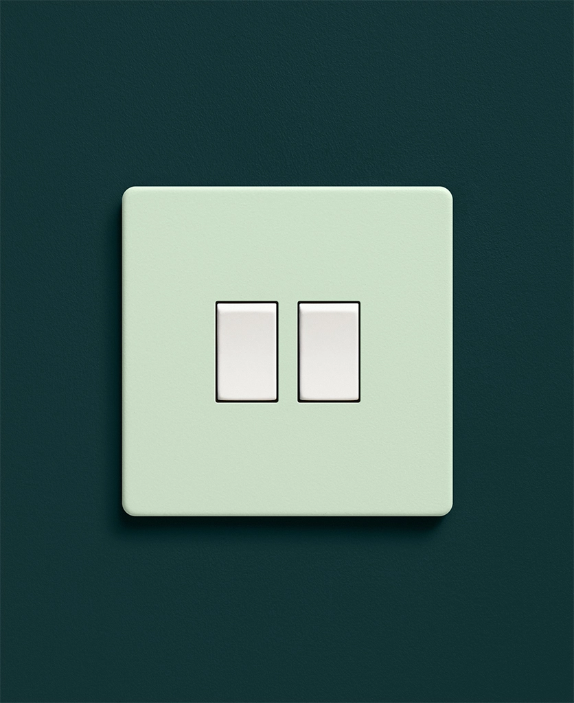 Neo-Mint Double Rocker Switch | Dowsing & Reynolds