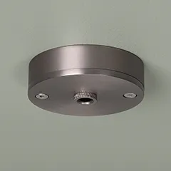 silver metal ceiling rose on a sage green ceiling