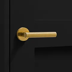 gold lever door handle on a black door