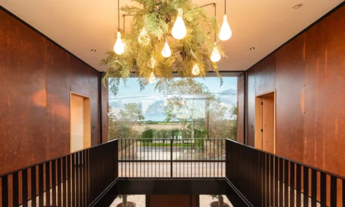 fern bubble chandelier
